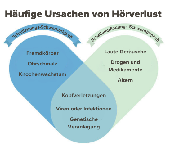 Bild zeigt Herz, unterteilt in verschiedene Ursachen von Hörverlust.