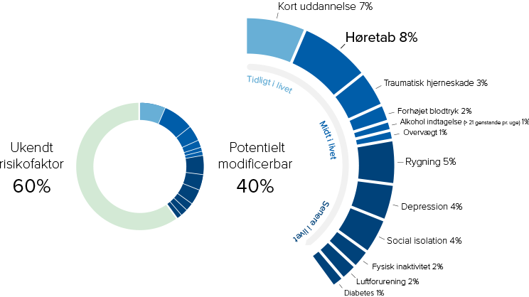 To cirkeldiagrammer viser risikofaktorer for kognitive lidelser. Venstre diagram opdeler i ’Ukendt risikofaktor 60%’ og ’Potentielt modificerbar 40%.’ Højre diagram detaljere: Høretab 8%, Kort uddannelse 7%, og andre faktorer som rygning, social isolation og fysisk inaktivitet.