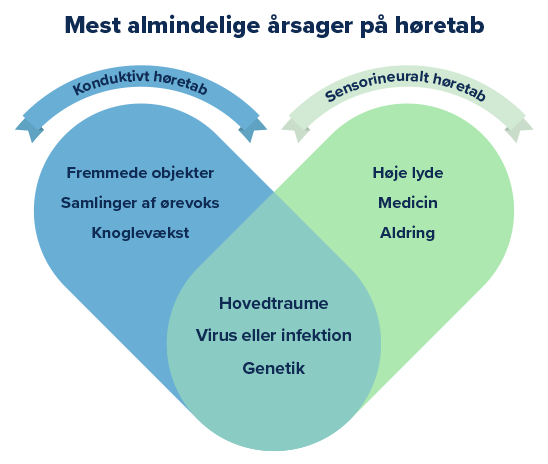 Grafik viser 'Mest almindelige årsager på høretab' fordelt på to typer: konduktivt høretab (fremmede objekter, ørevoks, knoglevækst) og sensorineuralt høretab (høje lyde, medicin, aldring) med fælles faktorer som hovedtraume, infektion og genetik.