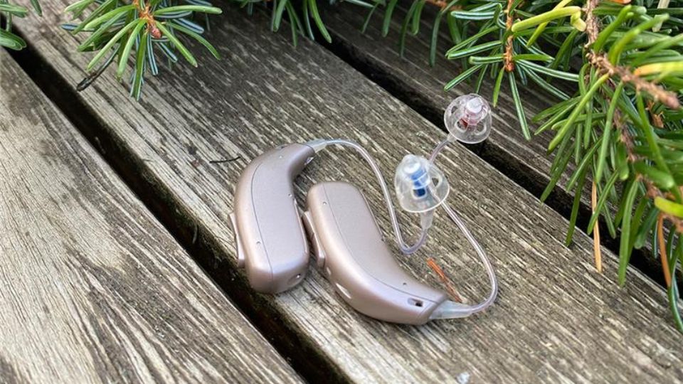 audífonos digitales modernos colocados sobre una superficie de madera junto a ramas de pino