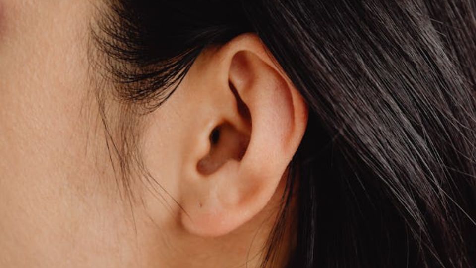 Oreja humana vista de perfil.
