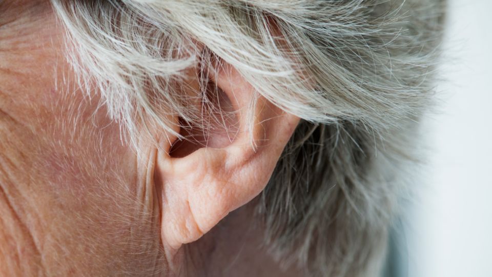Oreja de una persona mayor con cabello canoso, destacando detalles de piel y estructura del oído.