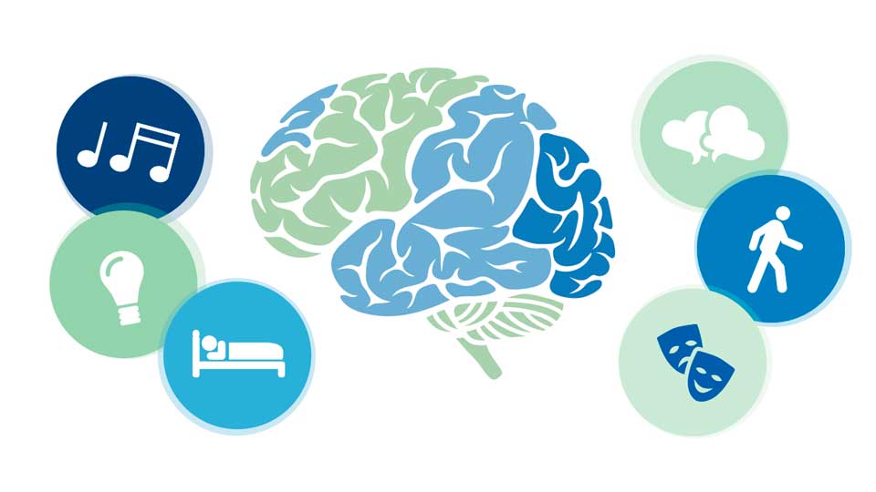 Ilustración de un cerebro estilizado en azul y verde, rodeado de íconos circulares que representan música, creatividad, sueño, conversación, movilidad y emociones, simbolizando funciones cognitivas y actividades relacionadas.