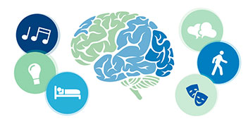 Ilustración de un cerebro dividido en tonos verdes y azules, rodeado de íconos circulares que representan música, ideas, sueño, pensamiento, movimiento y emociones, sugiriendo actividades cognitivas y sensoriales.