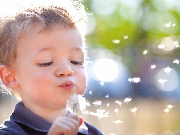 niño pequeño con audífonos audika soplando un diente de leon