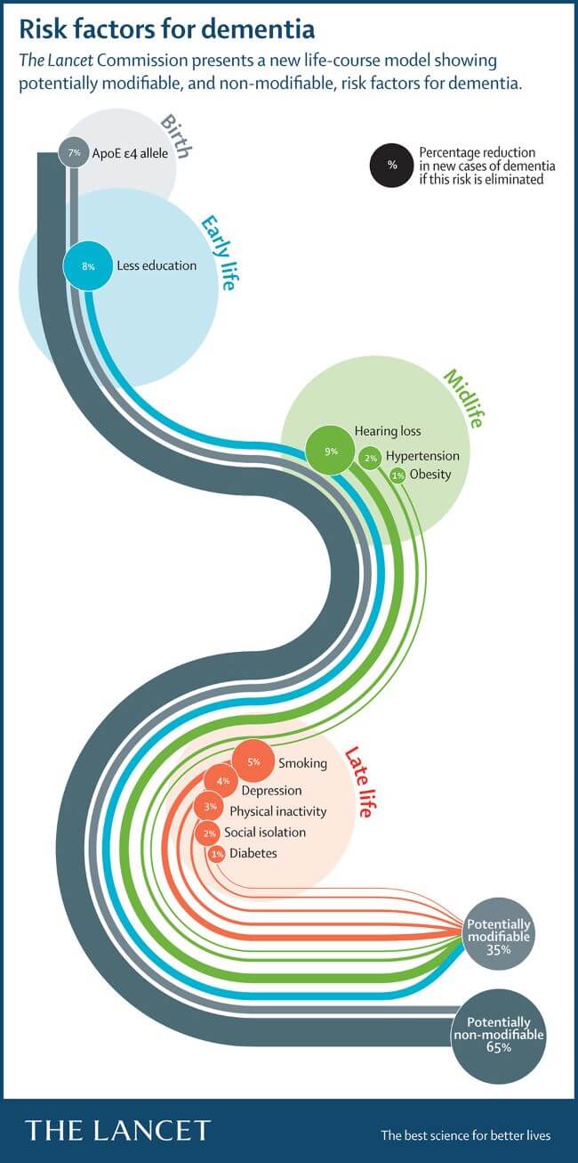 Diagrama en inglés titulado ’Risk factors for dementia’ de *The Lancet Commission*, que muestra factores de riesgo para la demencia según etapas de vida: nacimiento (7% gen ApoE ε4), infancia (8% baja educación), mediana edad (9% pérdida auditiva, 2% hipertensión, 1% obesidad) y edad avanzada (5% tabaquismo, 4% depresión, 3% inactividad física, 2% aislamiento social, 1% diabetes). Indica que el 35% de los riesgos son modificables. Texto adicional: ’The best science for better lives’.