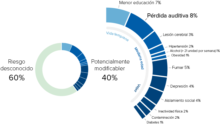 Gráfico circular y semicircular que presenta factores de riesgo de demencia. El primero divide en ’Riesgo desconocido’ (60%) y ’Potencialmente modificable’ (40%). El segundo detalla factores como ’Pérdida auditiva 8%’, ’Menor educación 7%’, ’Fumar 5%’, ’Depresión 4%’, y otros. Contexto usado en centros de cuidado auditivo como Audika para promover evaluaciones auditivas relacionadas con salud cognitiva.