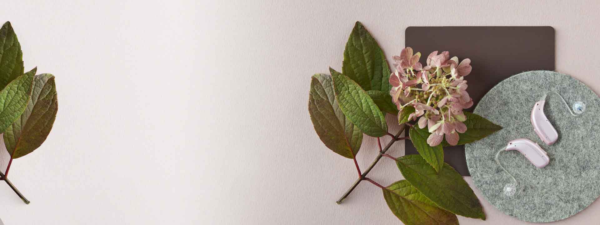 Dos audífonos rosados descansan sobre un círculo de fieltro gris, acompañados de hojas verdes y flores rosadas, en un fondo claro que transmite calma y naturaleza.