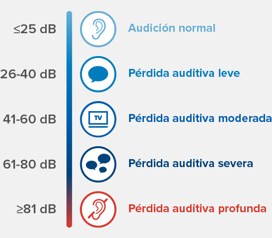 Una escala auditiva clasifica niveles de pérdida auditiva: ’Audición normal (≤25 dB)’, ’Pérdida auditiva leve (26-40 dB)’, ’moderada (41-60 dB)’, ’severa (61-80 dB)’ y ’profunda (≥81 dB)’.
