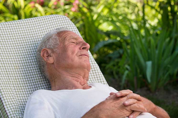Un homme âgé, allongé et détendu sur une chaise longue en tissu à carreaux, repose les mains croisées dans un jardin verdoyant, entouré de plantes et de fleurs colorées.