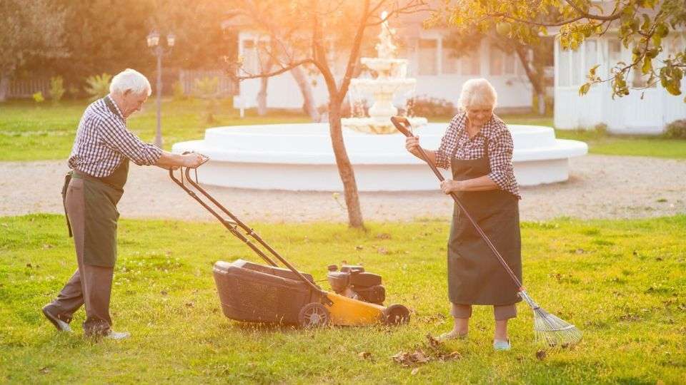Giardino e cura del verde in un contesto sereno e soleggiato.