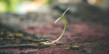 nieuwe lente thumbnail