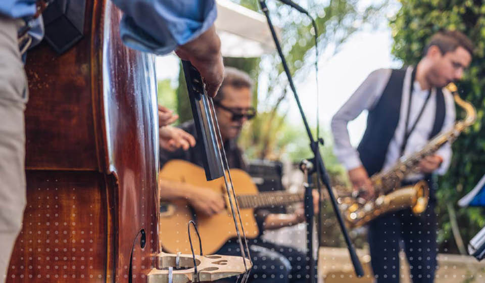 Een contrabas wordt bespeeld met een strijkstok, terwijl een band met muzikanten op een buitenlocatie optreedt. De achtergrond toont groen blad en zonlicht, met focus op live muziek.
