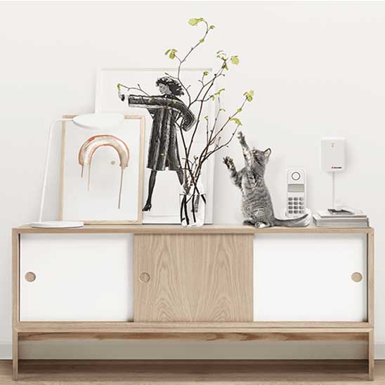 Een grijze kitten strekt zich uit naar takken in een vaas op een houten dressoir met witte schuifdeuren. Achtergrond bevat kunstwerken; context is een huiselijke omgeving.