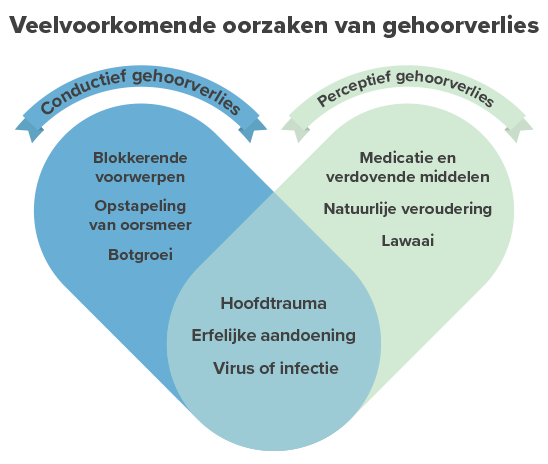 Infografiek met twee overlappende cirkels over 'Veelvoorkomende oorzaken van gehoorverlies.' Links: 'Conductief gehoorverlies' (blokkerende voorwerpen, oorsmeer, botgroei). Rechts: 'Perceptief gehoorverlies' (medicatie, veroudering, lawaai). Overlap: hoofdtrauma, erfelijke aandoening, virus/infectie.