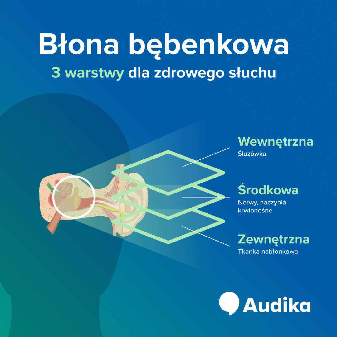Infografika - błona bębenkowa.