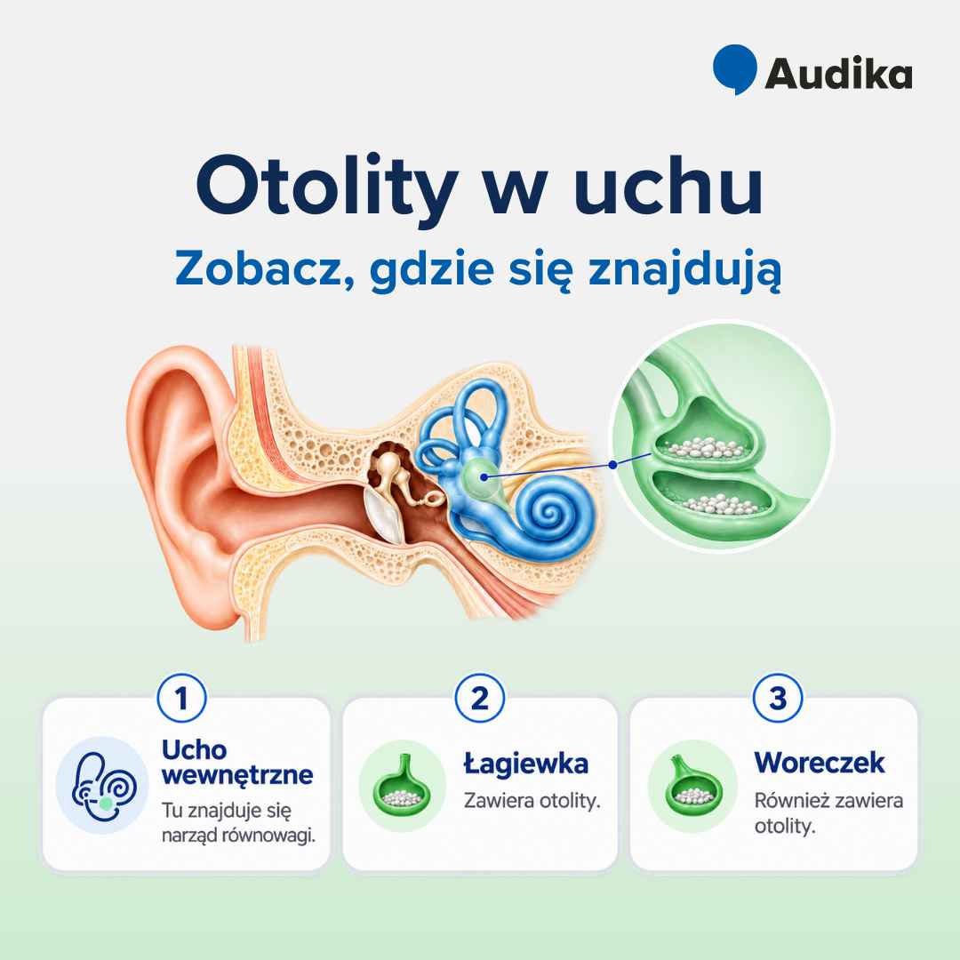 Infografia – gdzie znajdują się otolity w uchu