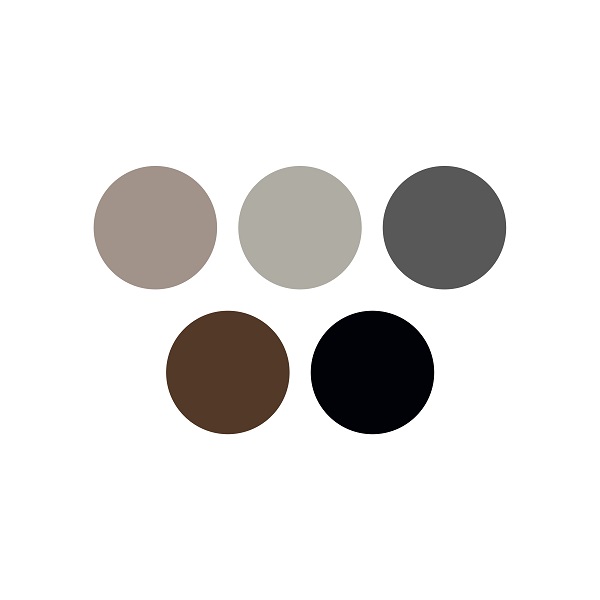 Dostępne kolory aparatu słuchowego Oticon Zircon™ z ładowarką.