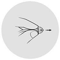  Illustration av hur man byter domer på en hörapparat