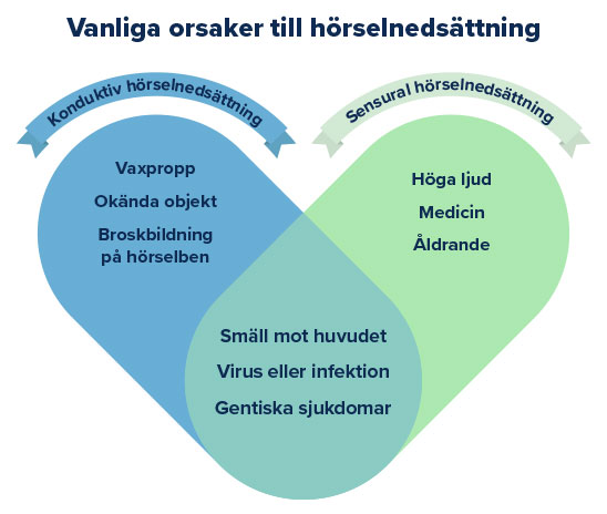  Vanliga orsaker till hörselnedsättning presenterade i två överlappande cirklar som illustrerar skillnaden mellan konduktiv och sensorisk hörselnedsättning.