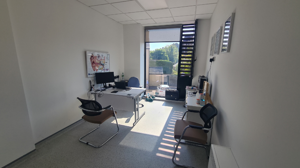 A bright hearing clinic consultation room features a desk with a computer, patient chairs, a large ear anatomy poster on the wall, and a window overlooking greenery.