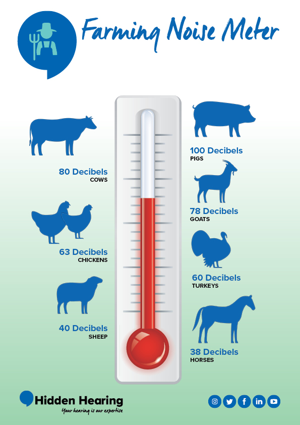 A thermometer graphic labeled 'Farming Noise Meter' ranks animal noise levels: pigs (100 decibels), cows (80 decibels), goats (78 decibels), chickens (63 decibels), turkeys (60 decibels), sheep (40 decibels), and horses (38 decibels). Text: 'Hidden Hearing: Your hearing is our expertise.' Social media icons appear below.
