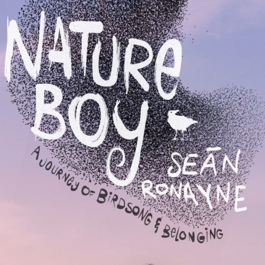Image of the cover of Seán Ronayne's book Nature Boy depicting a flock of birds in the sky with the message about how it's a journey of birdsong and belonging