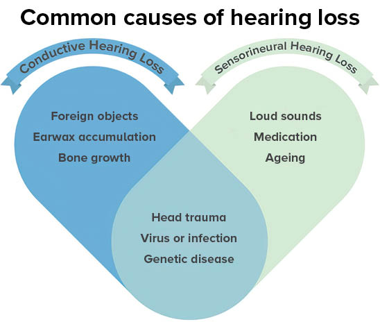 A Venn diagram titled 'Common causes of hearing loss' highlights two categories: 'Conductive Hearing Loss' (e.g., foreign objects, earwax accumulation, bone growth) and 'Sensorineural Hearing Loss' (e.g., loud sounds, medication, aging). Overlapping causes include 'head trauma, virus or infection, and genetic disease.' The diagram uses blue and green circles to visually distinguish the categories. Ideal for hearing clinics or audiologists providing explanations.