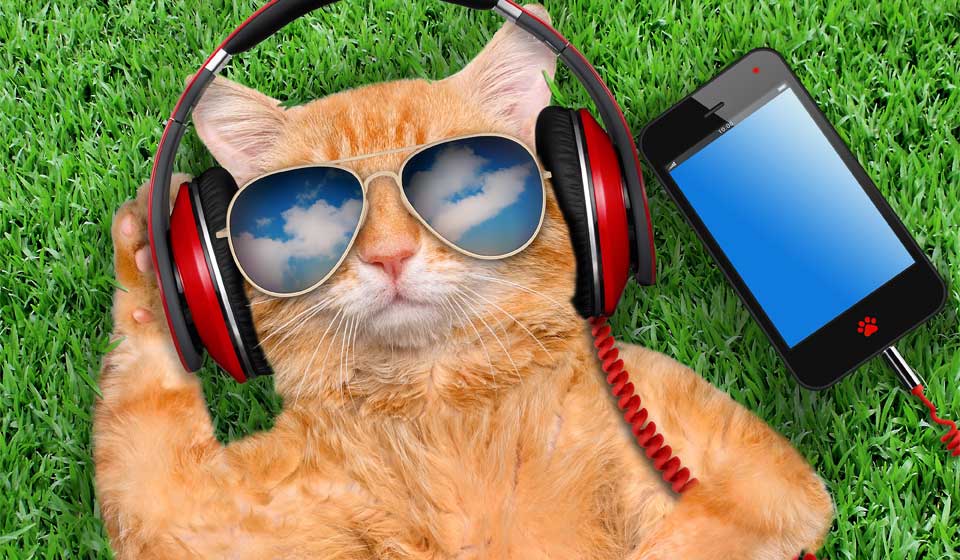 Cat relaxing on grass wearing red headphones and sunglasses beside a smartphone.