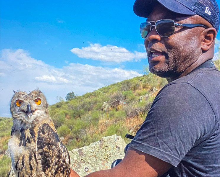 A large owl with vivid orange eyes perches calmly, facing forward, on a person’s arm in an open grassy landscape under a bright blue sky with scattered clouds.