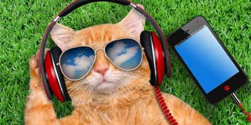 Cat wearing headphones next to a smartphone on grass.