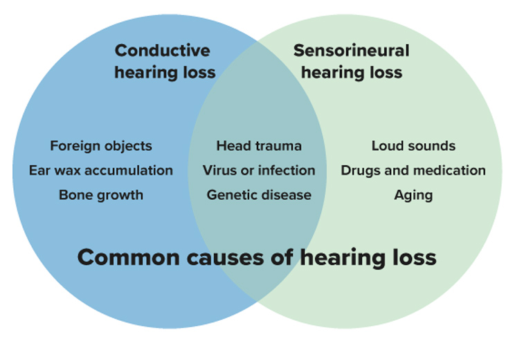 Common causes and types of hearing loss, including conductive hearing loss, sensorineural hearing loss, and shared factors such as head trauma and genetic diseases.