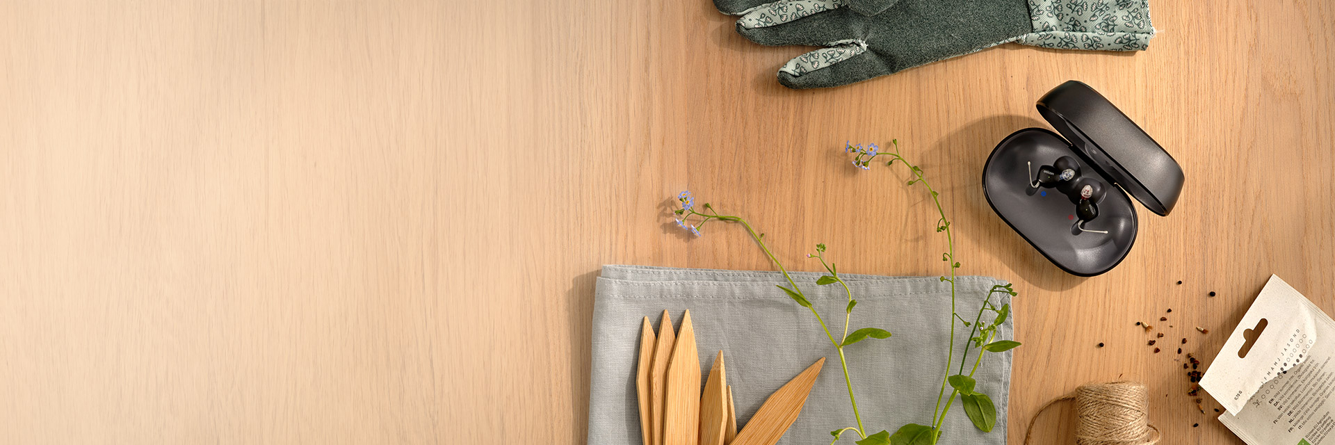 Oticon Zeal