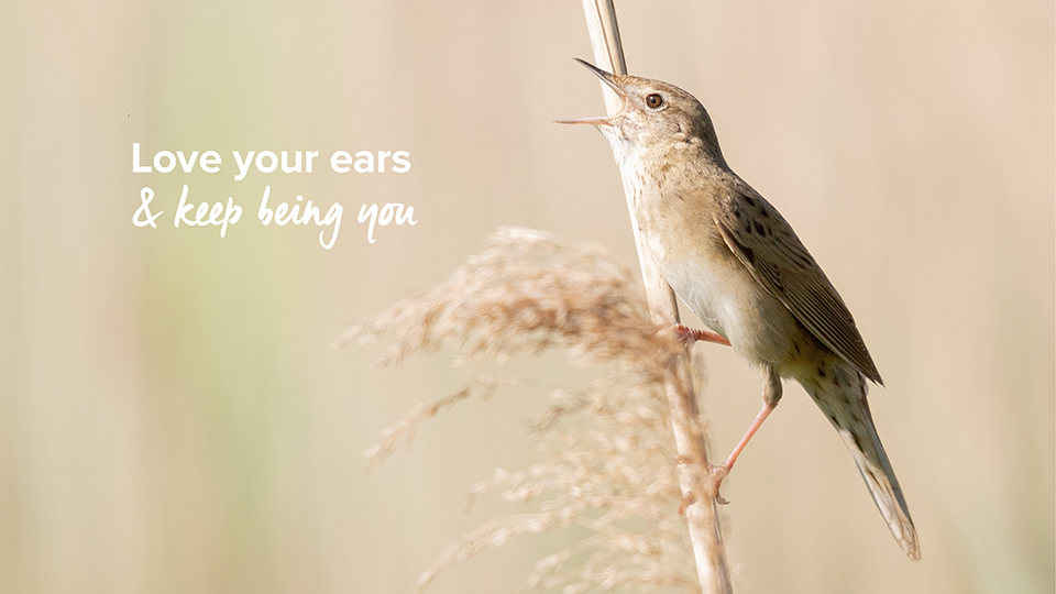 A small bird sings while perched on a slender reed, set against a soft blurred background of tall grasses. Text reads: 'Love your ears & keep being you.'