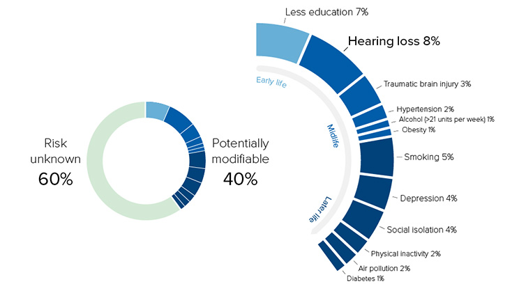 Twelve potentially modifiable risk factors for hearing loss, categorized by life stages, with a breakdown including less education (7%), hearing loss (8%), traumatic brain injury (3%), smoking (5%), depression (4%), social isolation (4%), and others, accounting for 40% of total risk; 60% of risk remains unknown.