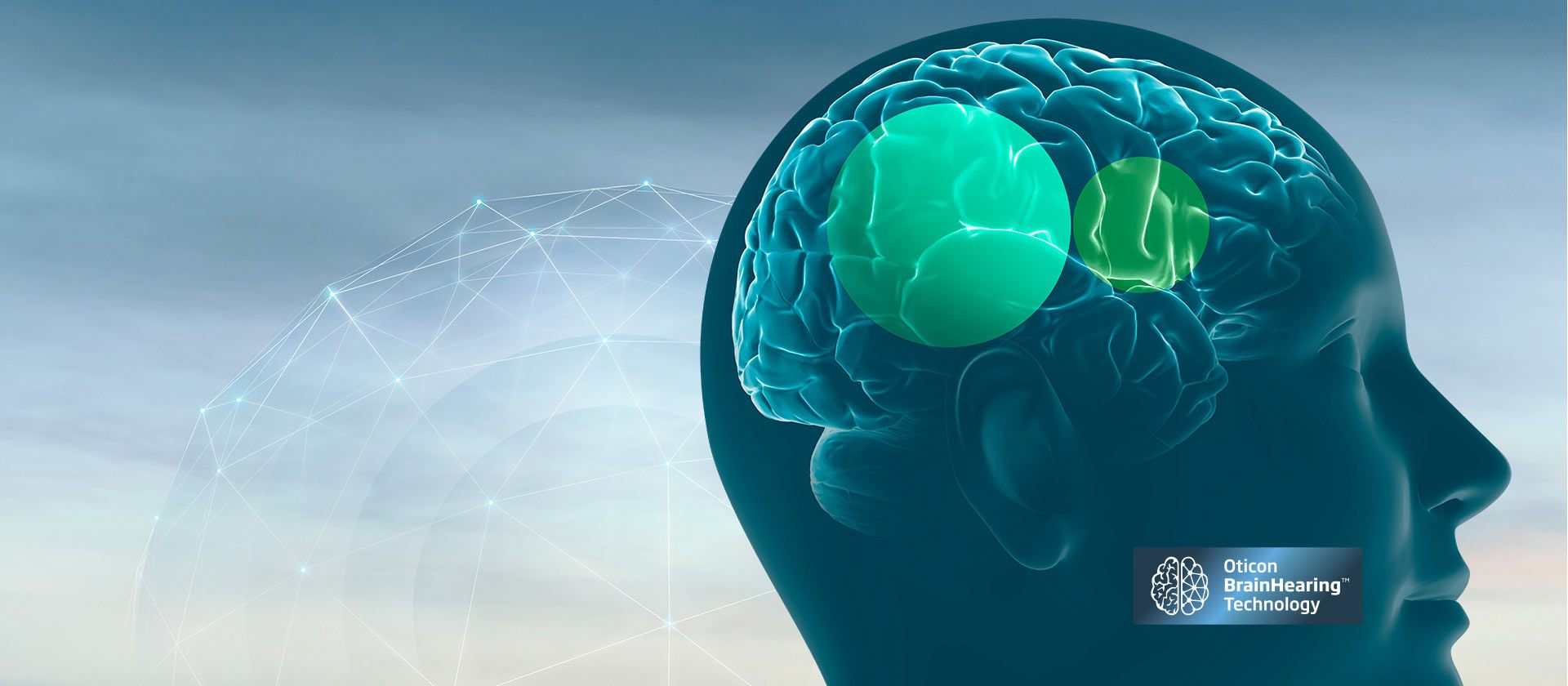 Illustration of a brain in a head