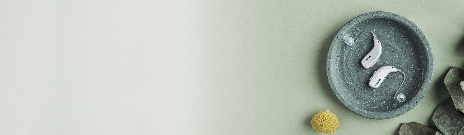 Akcesoria do aparatów słuchowych leżące na ceramicznej misce na tle w odcieniach zieleni.