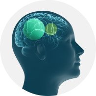 Brainhearing technology highlighted within a human brain diagram
