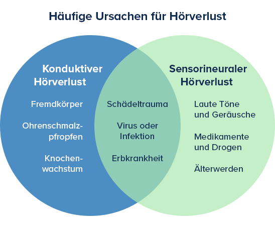 Ein Venn-Diagramm zeigt ’Häufige Ursachen für Hörverlust’ mit zwei Bereichen: ’Konduktiver Hörverlust’ (z.B. Fremdkörper, Ohrenschmalzpropfen) und ’Sensorineuraler Hörverlust’ (z.B. laute Töne, Altern). Gemeinsame Ursachen (z.B. Schädeltrauma, Virusinfektion) sind hervorgehoben.