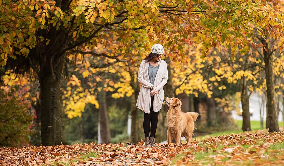 Femme marchant avec son chien dans un parc en automne.