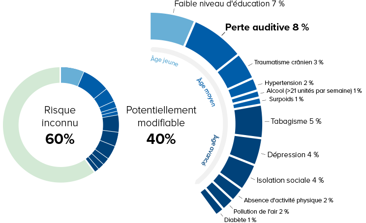 Un diagramme circulaire présente les facteurs de risque de la perte auditive. Texte inclus : « Risque inconnu 60 %, Potentiellement modifiable 40 %, Perte auditive 8 %, Faible niveau d’éducation 7 %, Traumatisme crânien 3 %, Hypertension 2 %, Alcool (>21 unités par semaine) 1 %, Surpoids 1 %, Tabagisme 5 %, Dépression 4 %, Isolation sociale 4 %, Absence d’activité physique 2 %, Pollution de l’air 2 %, Diabète 1 % ». Les segments sont classés par âge : jeune, moyen, avancé.