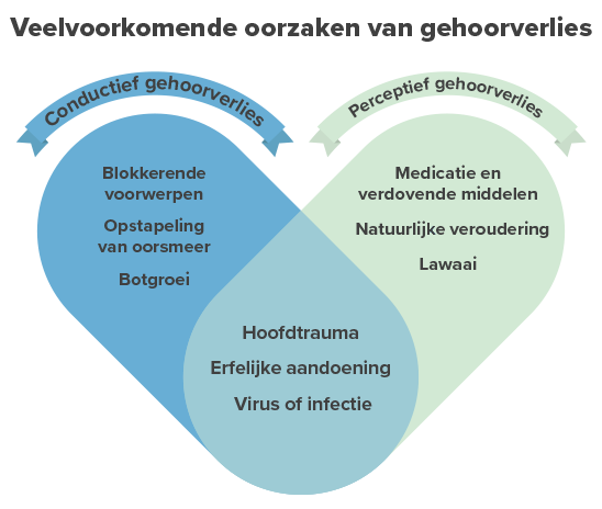 Veelvoorkomende oorzaken van gehoorverlies weergegeven in een hartvormige infographic, verdeeld in conductief gehoorverlies en perceptief gehoorverlies, met oorzaken zoals blokkende voorwerpen, medicatie, lawaai, hoofdtrauma en erfelijke aandoeningen.